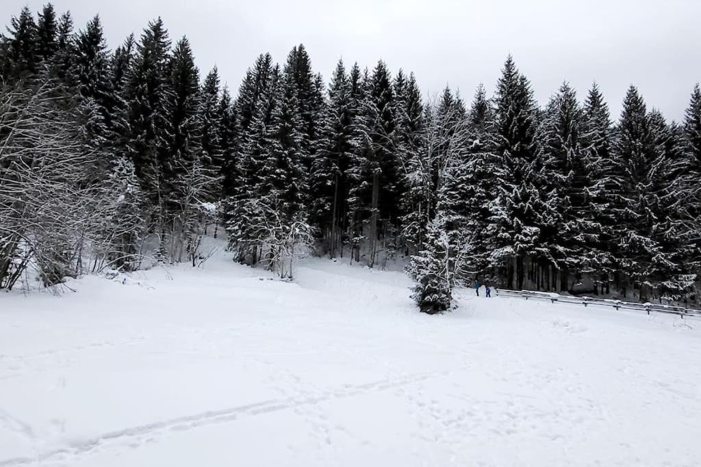 Cocon A Châtel Eksteriør bilde